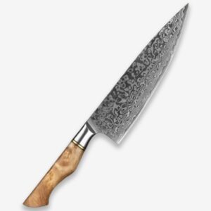 B30 8 Inch Chef Knife, 67 Layers Damascus Steel Having