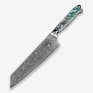 Professional Damascus VG 10 Steel Core 67 Layers Stainless Steel