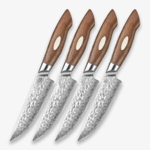 Dskk Blade Black Wolf Series 4PCS 5 Inch Damascus Steel Steak Knife