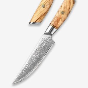 Dskk Blade Blaze Series 5 Inch Damascus Steel Steak Knife