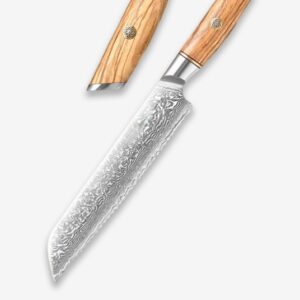 Dskk Blade Blaze Series 8.5 Inch Damascus Steel Bread Knife