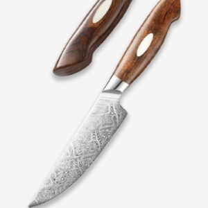 Dskk Blade Bold Dynasty Series 5 Inch Damascus Steel Steak Knife