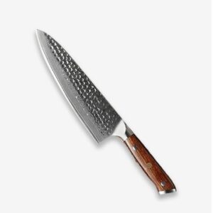 Dskk Blade Bravo Series 8 Inch Damascus Steel Chef Knife